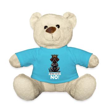 Before You Ask Deutsch Drahthaar Drahthaarhalter - Teddy - Atollblau - Vorne