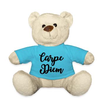 Carpe Diem Latein Nutze den Tag - Teddy - Atollblau - Vorne