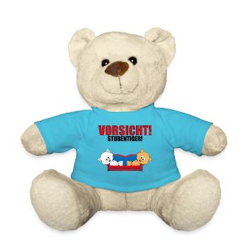 VORSICHT! STUBENTIGER! - KATZEN - SOFA - HAUSKATZE - Teddy - Atollblau - Vorne