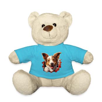Hund guckt aus Mauer - Teddy - Atollblau - Vorne