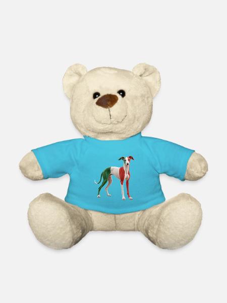 Italienischer Windhund - Teddy - Atollblau