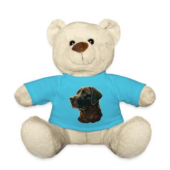 Ruhiger Labrador Retriever - Teddy - Atollblau - Vorne
