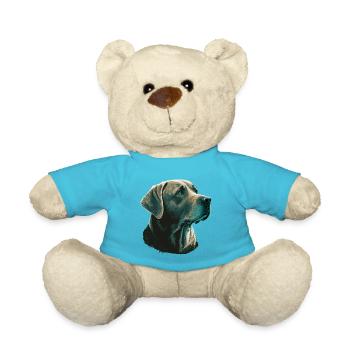 Bright Labrador Retriever - Teddy - Atollblau - Vorne