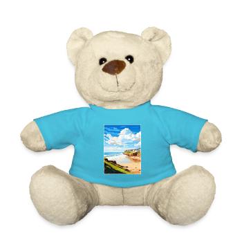 Polzeath Cornwall Vintage Reiseposter Souvenir - Teddy - Atollblau - Vorne