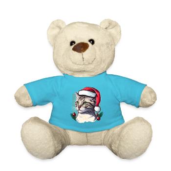 Wunderschöne Katze mit Weihnachtsmannmütze - Teddy - Atollblau - Vorne