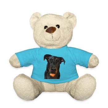 Blick auf den Beauceron - Teddy - Atollblau - Vorne