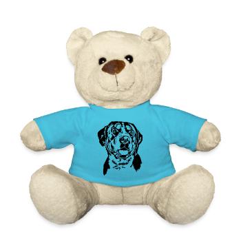 Grosser Schweizer Sennenhund Portrait Wilsigns - Teddy - Atollblau - Vorne