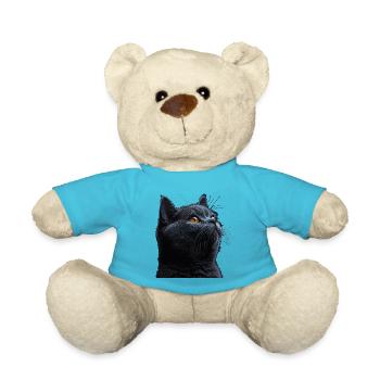 Die charmante Britisch Kurzhaar - Teddy - Atollblau - Vorne