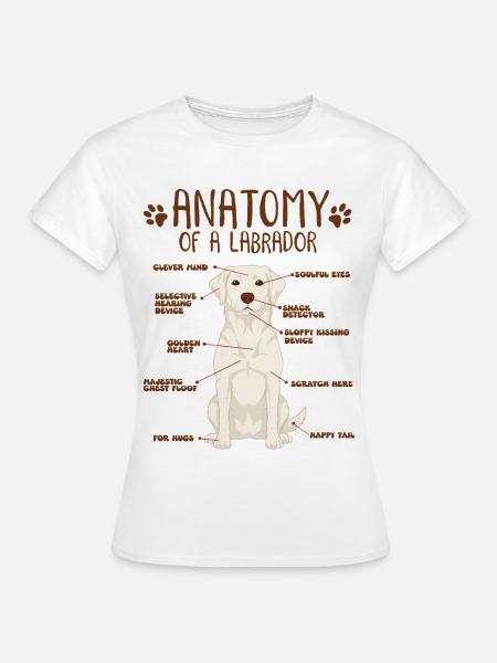 Anatomie eines white Labradors - Frauen T-Shirt - Weiß