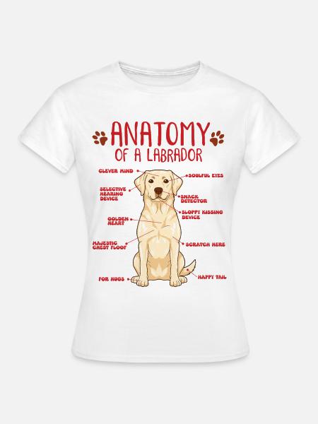 Yellow Labrador Anatomy Shirt - Frauen T-Shirt - Weiß