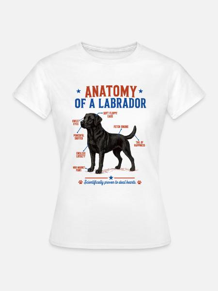 Black Labrador Anatomie Shirt - Frauen T-Shirt - Weiß