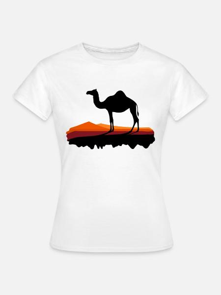 Dromedar im Abendlicht - Frauen T-Shirt - Weiß