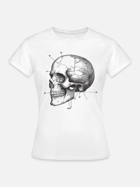 Anatomy skull - Frauen T-Shirt - Weiß