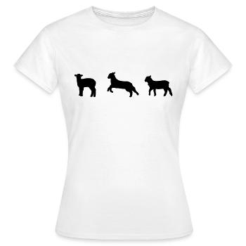 Schafe, Schaf, Lamm, Lämmer - Frauen T-Shirt - Weiß - Vorne - AI Model Female 172 dark (172cm)