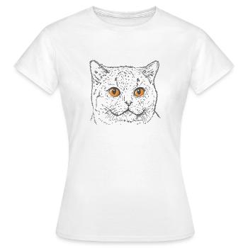 Britisch Kurzhaar Katze mit Kupfer Augen - Frauen T-Shirt - Weiß - Vorne - AI Model Female 172 dark (172cm)