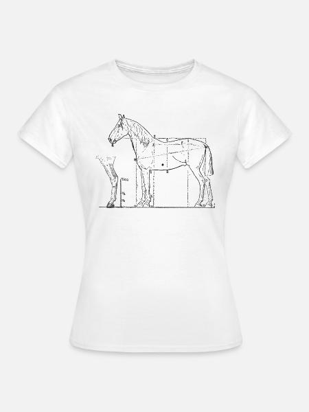 anatomie des Pferdes - Frauen T-Shirt - Weiß