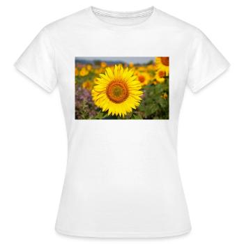 Sunflower flower head protrudes from a field - Women's T-Shirt - white - Front - AI Model Female 172 dark (172cm)