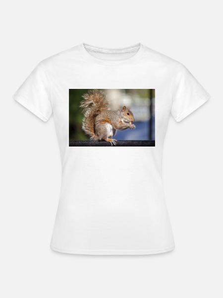 Grauhörnchen essen - Frauen T-Shirt - Weiß