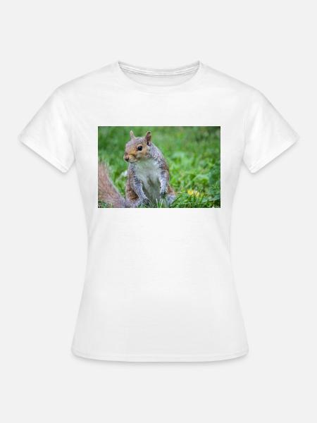 Grauhörnchen Sciurus carolinensis - Frauen T-Shirt - Weiß