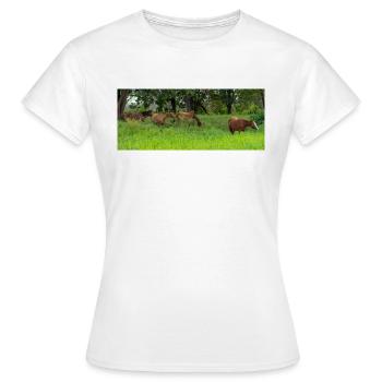 Pferde auf der Wiese - Frauen T-Shirt - Weiß - Vorne - AI Model Female 172 dark (172cm)