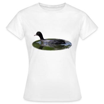 Blässhuhn Wasservogel Vogel - Frauen T-Shirt - Weiß - Vorne - AI Model Female 172 dark (172cm)