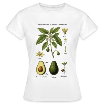Botanical Avocado Chart Persea Americana - Women's T-Shirt - white - Front - AI Model Female 172 dark (172cm)