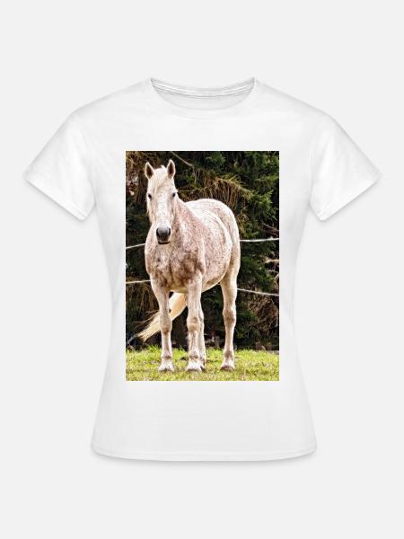 Apfelschimmel Pferd Porträt Poster - Frauen T-Shirt - Weiß