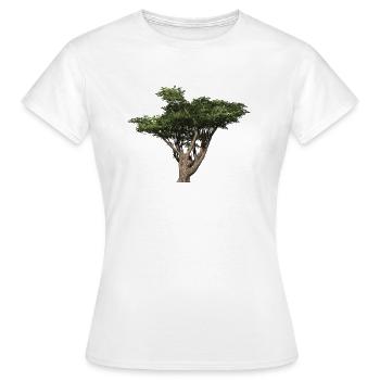 Akazieenbau Baum Akazie Savanne - Frauen T-Shirt - Weiß - Vorne - AI Model Female 172 dark (172cm)