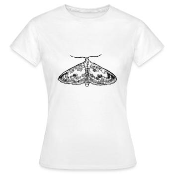 Falter - Frauen T-Shirt - Weiß - Vorne - AI Model Female 172 dark (172cm)