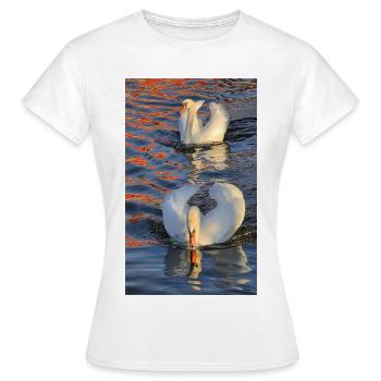 Swans in a play of colours - Women's T-Shirt - white - Front - AI Model Female 172 dark (172cm)