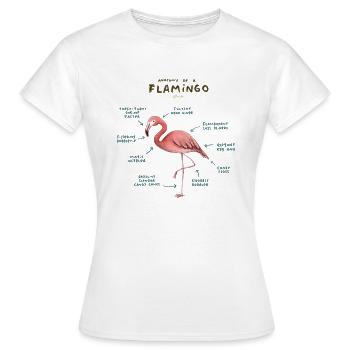 Anatomie eines Flamingos - Frauen T-Shirt - Weiß - Vorne - AI Model Female 172 dark (172cm)