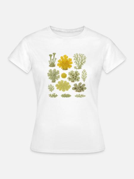 Flechten Flechten Moos - Flechten - Natur - Frauen T-Shirt - Weiß