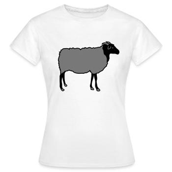 schaf, schafe, lamm, lämmer, heidschnucke - Frauen T-Shirt - Weiß - Vorne - AI Model Female 172 dark (172cm)