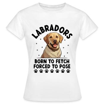 Labradore, die zum Apportieren geboren wurden, gezwungen, zu posieren Labrador re - Frauen T-Shirt - Weiß - Vorne - AI Model Female 172 dark (172cm)