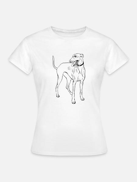 Windhund Hund - Frauen T-Shirt - Weiß