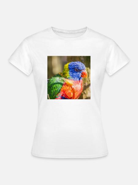 Regenbogenloris (Allfarblori, Trichoglossus) - Frauen T-Shirt - Weiß