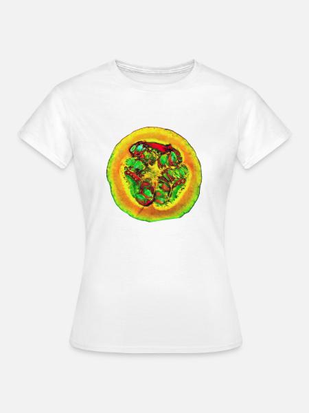 Hokkaido - Frauen T-Shirt - Weiß