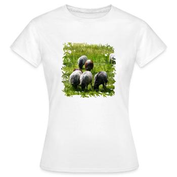 Heidschnucken are an old breed of sheep - Women's T-Shirt - white - Front - AI Model Female 172 dark (172cm)