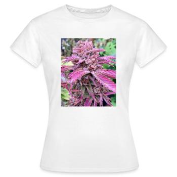 PINK BUD - Frauen T-Shirt - Weiß - Vorne - AI Model Female 172 dark (172cm)