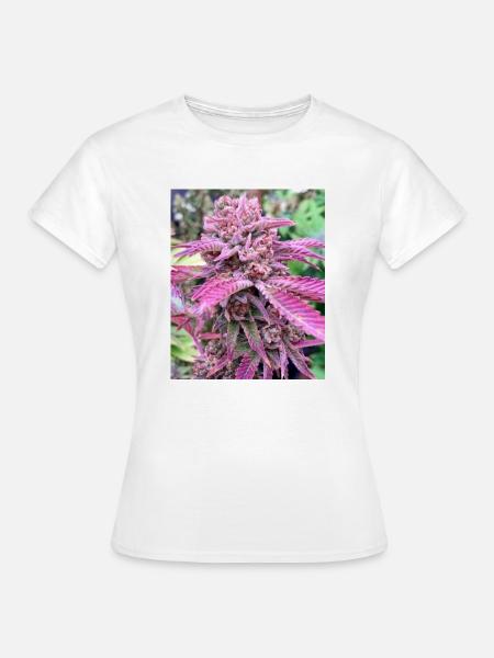 PINK BUD - Frauen T-Shirt - Weiß