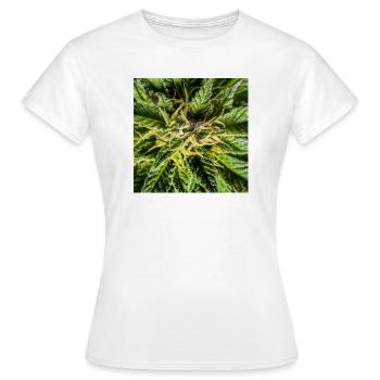 Les fleurs de cannabis, la marijuana, c’est tellement vert - T-shirt Femme - blanc - Devant - AI Model Female 172 dark (172cm)