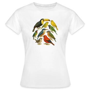 Série d'oiseaux colorés en aquarelle - T-shirt Femme - blanc - Devant - AI Model Female 172 dark (172cm)