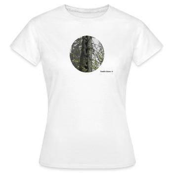 Spechtflöte an Fichte - Frauen T-Shirt - Weiß - Vorne - AI Model Female 172 dark (172cm)