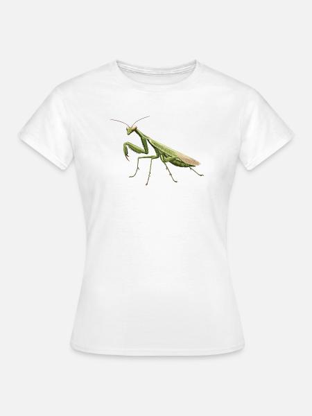Gottesanbeterinnen Gottesanbeterin - Frauen T-Shirt - Weiß