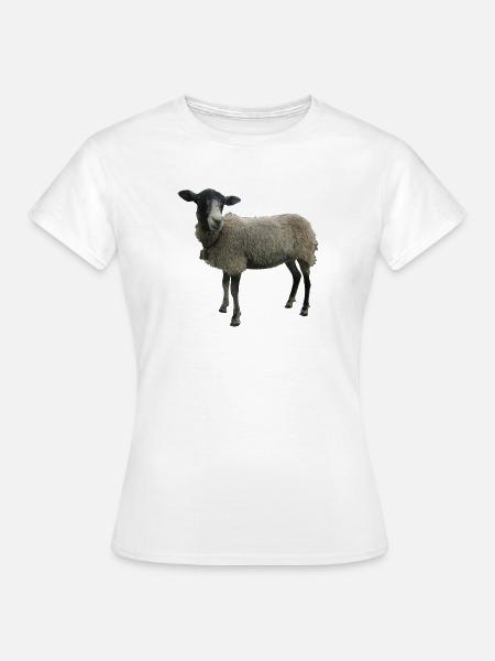 Schaf - Frauen T-Shirt - Weiß
