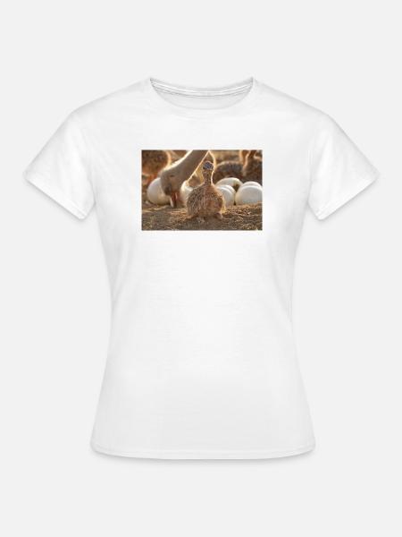 Straußenkücken im Nest - Frauen T-Shirt - Weiß