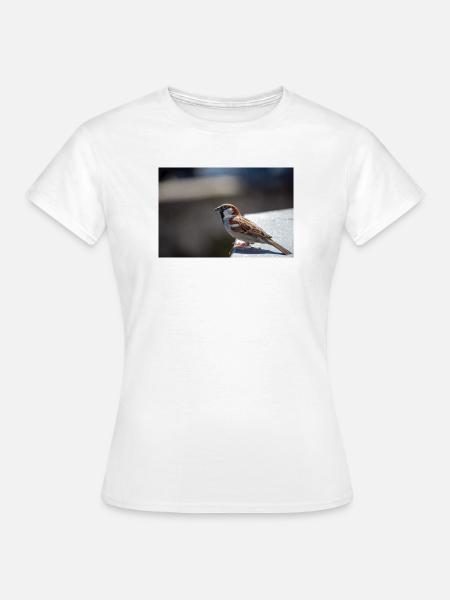 Vogel Spatz auf Beobachtung - Frauen T-Shirt - Weiß