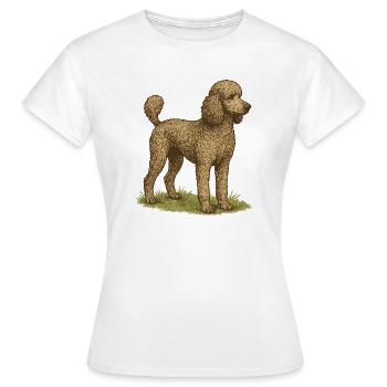Großpudel - Frauen T-Shirt - Weiß - Vorne - AI Model Female 172 dark (172cm)