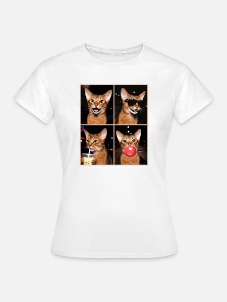 Katzen American Bobtail Katze - Frauen T-Shirt - Weiß