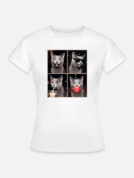 Katzen Russisch Blau Katze - Frauen T-Shirt - Weiß